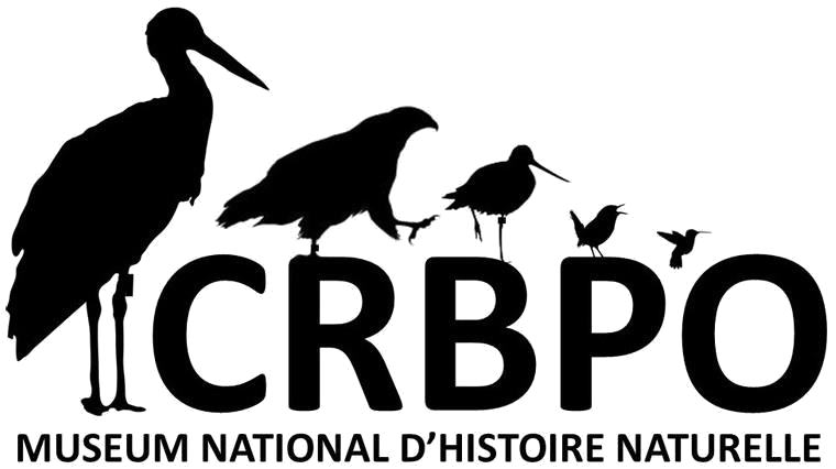 CRBPO